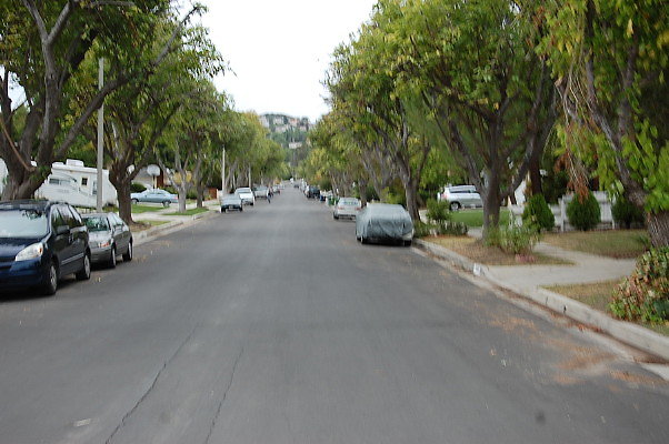 DSC 0231