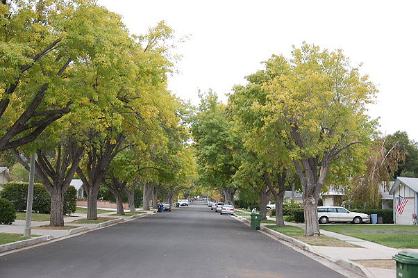 DSC 0112