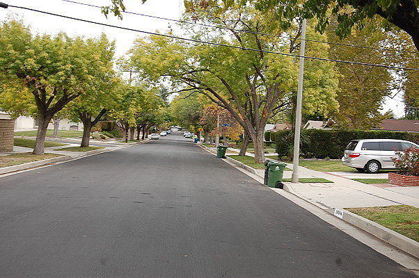 DSC 0103