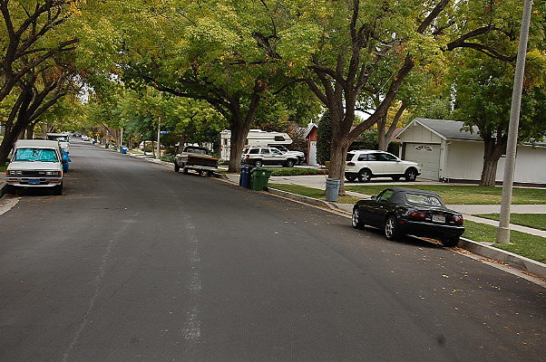 DSC 0100