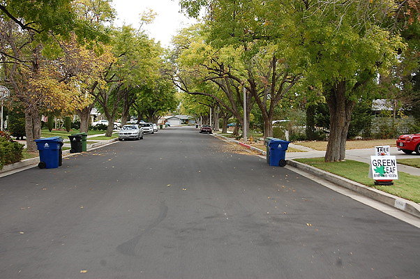 DSC 0108