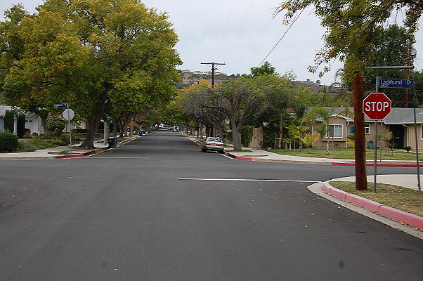 DSC 0118