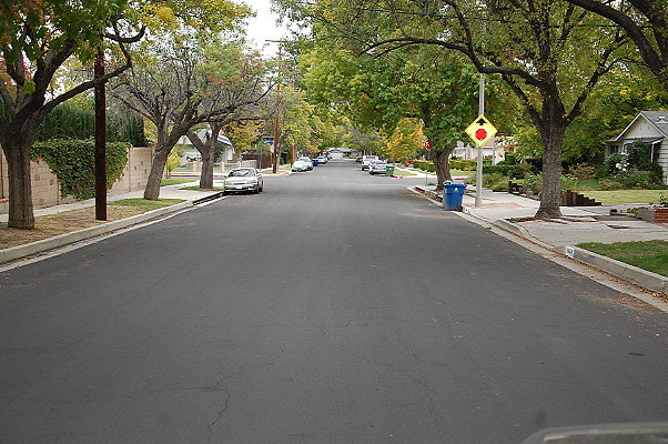 DSC 0105