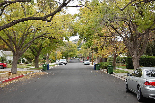 DSC 0116