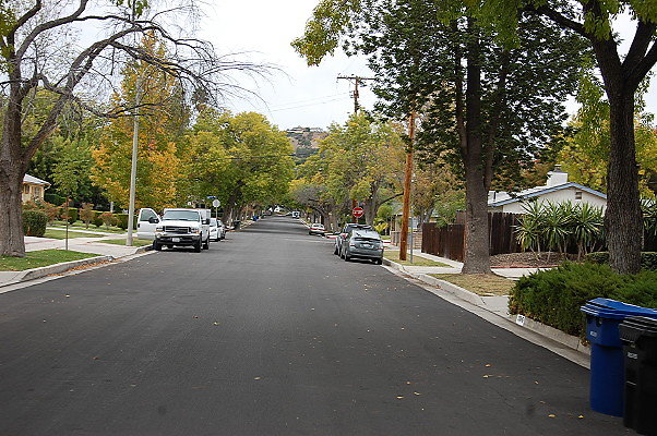 DSC 0117