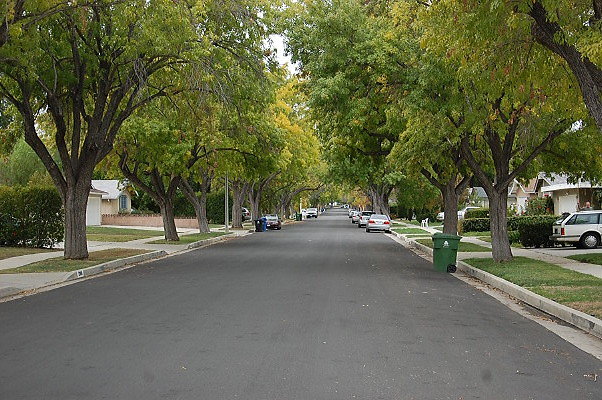 DSC 0113