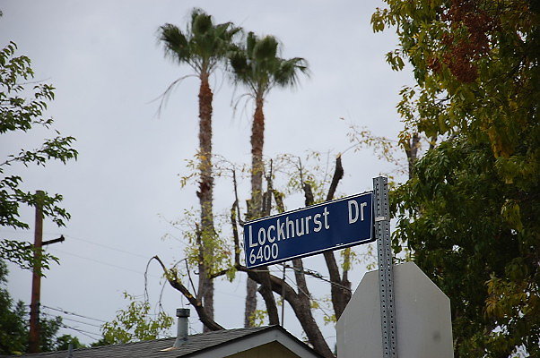 DSC 0119