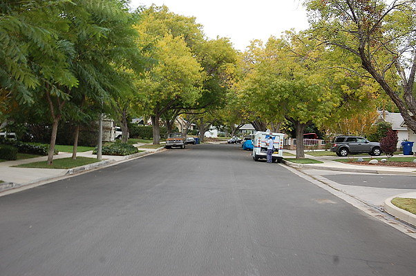 DSC 0124