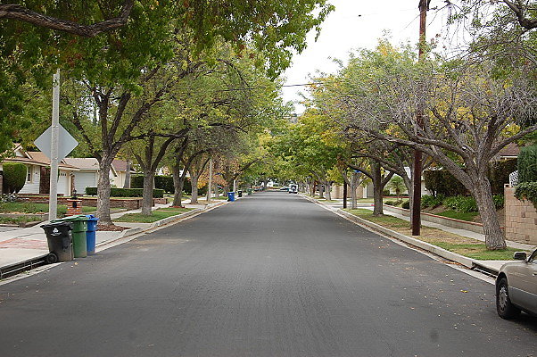 DSC 0120