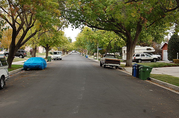 DSC 0101