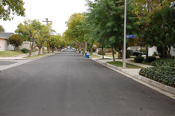 DSC 0102