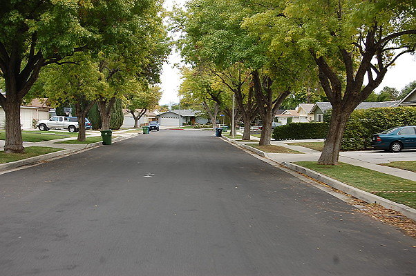 DSC 0110