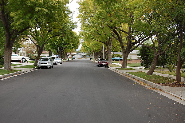 DSC 0109
