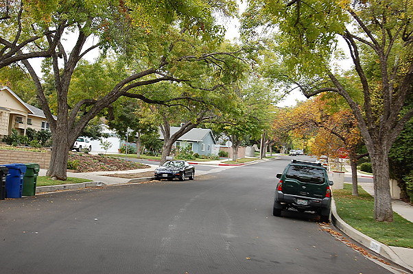 DSC 0126