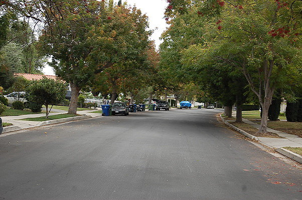 DSC 0084