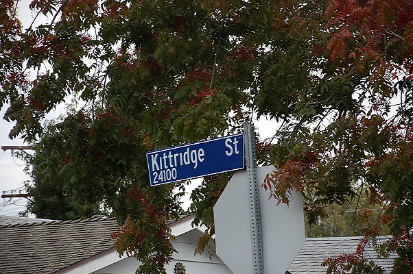 DSC 0080