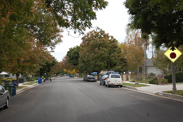 DSC 0078