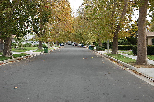 DSC 0143
