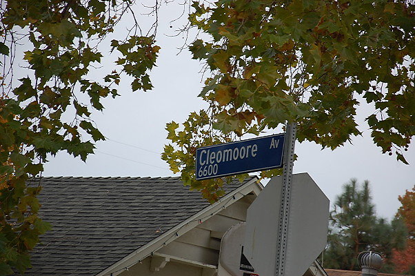 DSC 0181