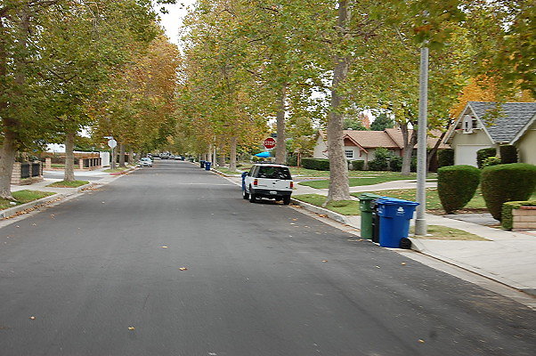 DSC 0138
