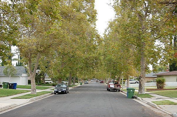 DSC 0135