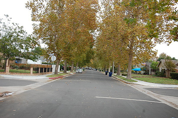 DSC 0139