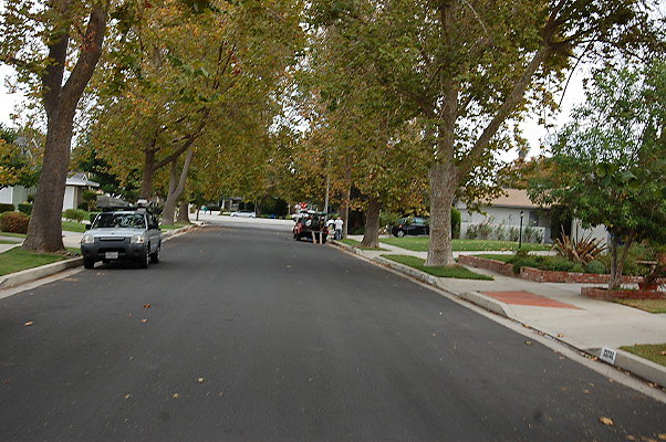 DSC 0156