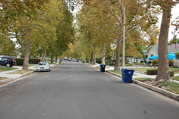 DSC 0141