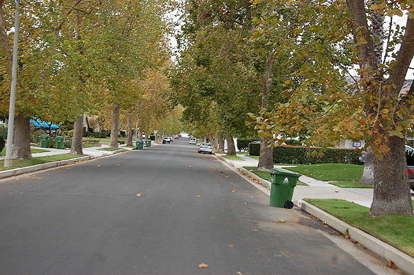 DSC 0177