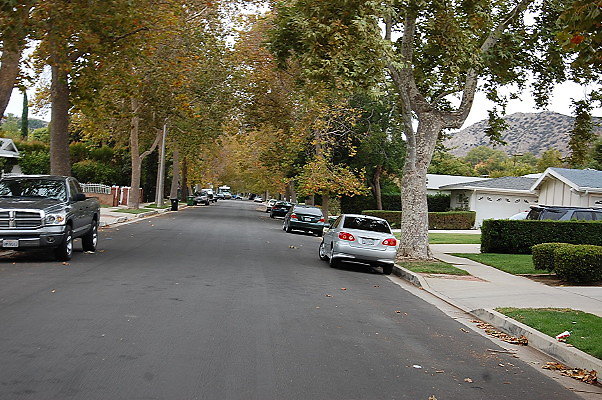 DSC 0166