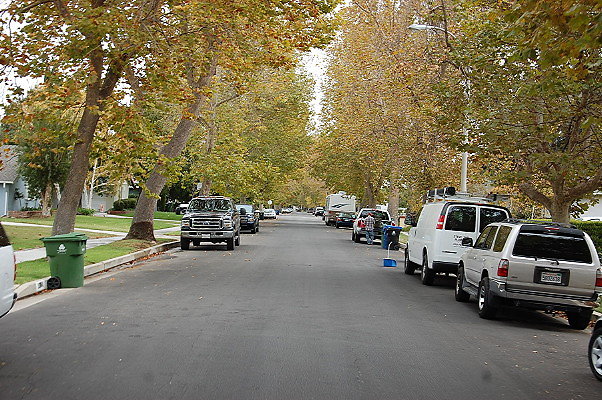 DSC 0146