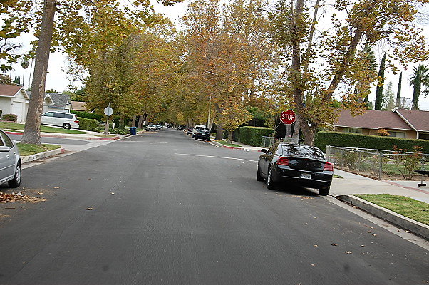 DSC 0148