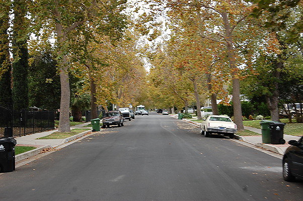 DSC 0168