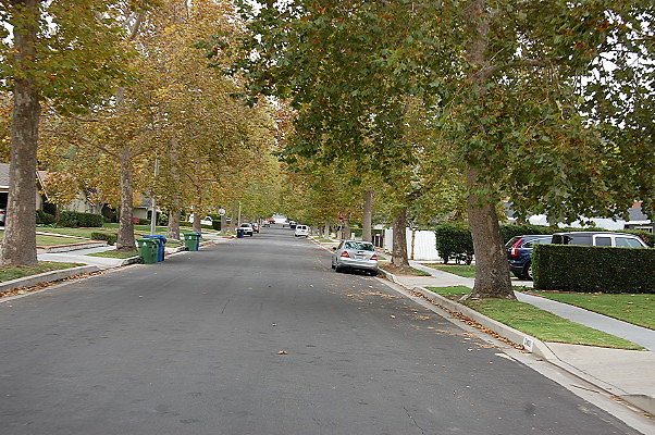 DSC 0178