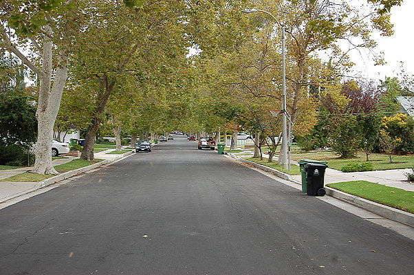 DSC 0134
