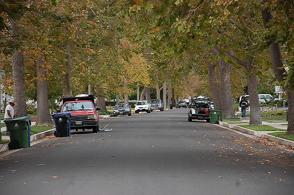 DSC 0160