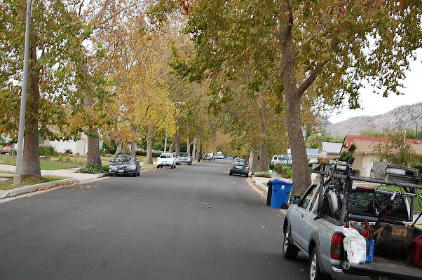 DSC 0164