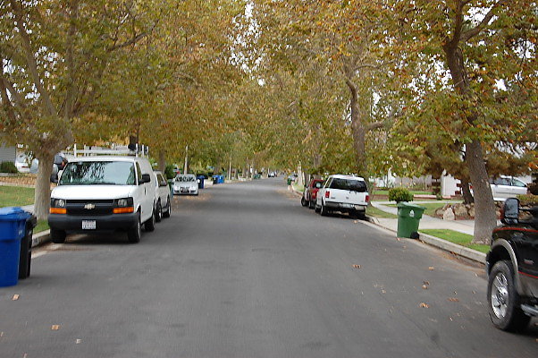 DSC 0174