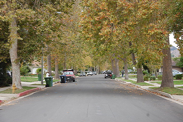 DSC 0161