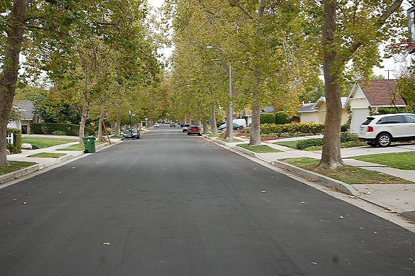 DSC 0136