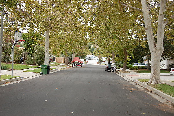 DSC 0186