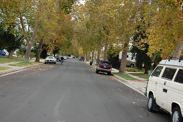 DSC 0151