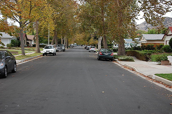 DSC 0165