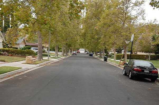 DSC 0183