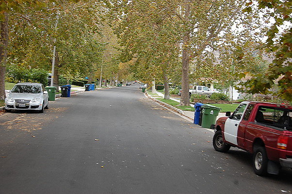 DSC 0175