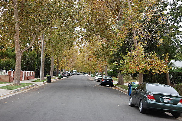 DSC 0167