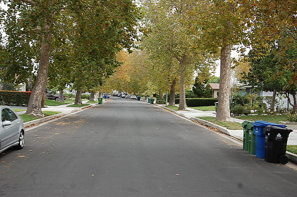 DSC 0142