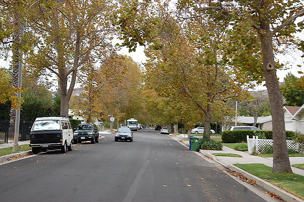 DSC 0169