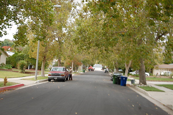 DSC 0185