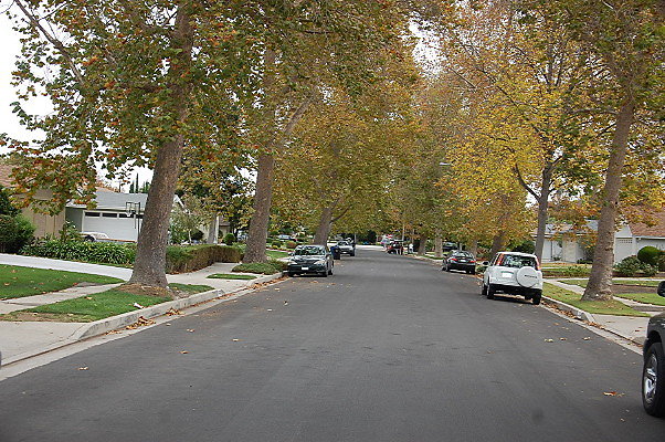 DSC 0154